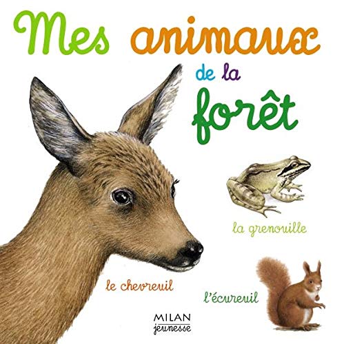 ANIMAUX DE LA FORÊT