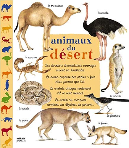 ANIMAUX DU DÉSERT