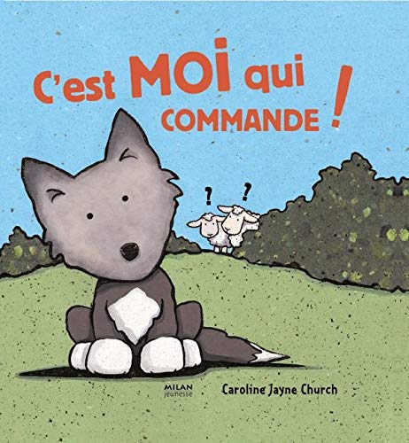 C'EST MOI QUI COMMANDE !