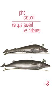 CE QUE SAVENT LES BALEINES