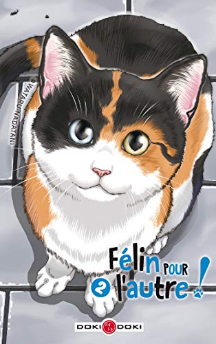 FÉLIN POUR L'AUTRE ! T2