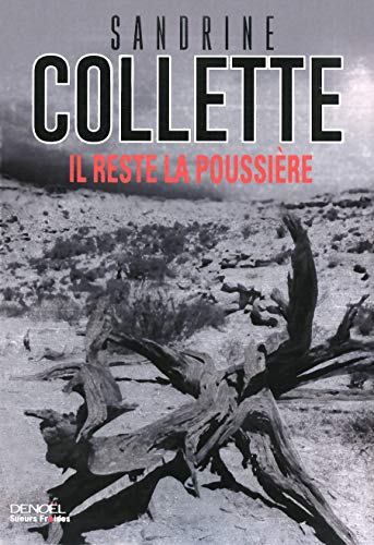 IL RESTE LA POUSSIÈRE