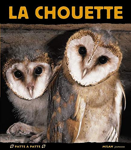 LA CHOUETTE