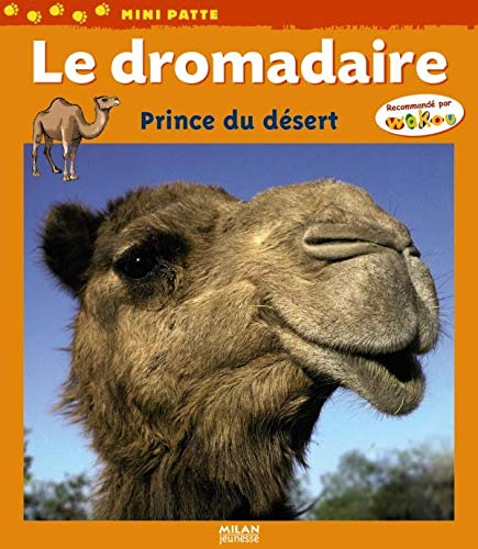 LE DROMADAIRE