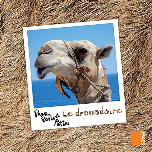 LE DROMADAIRE