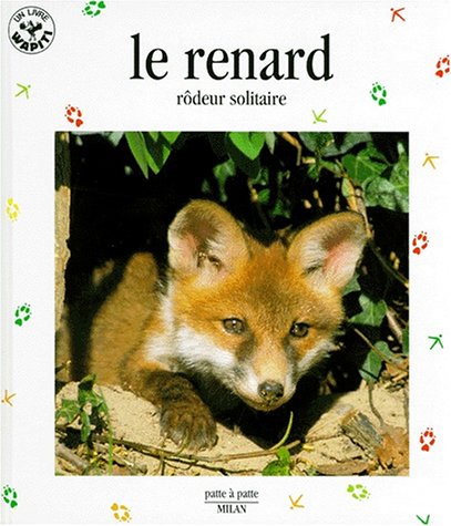 LE RENARD RÔDEUR SOLITAIRE