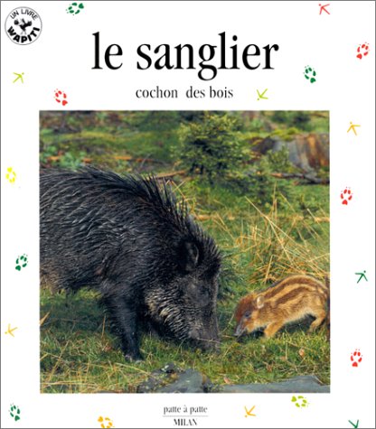 LE SANGLIER COCHON DES BOIS