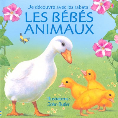 LES BÉBÉS ANIMAUX