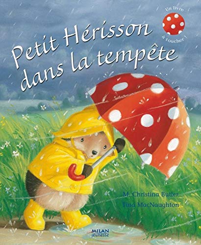 PETIT HÉRISSON DANS LA TEMPÊTE