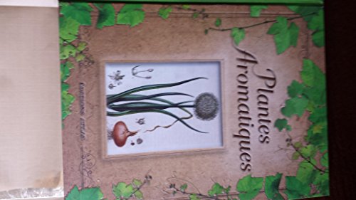 PLANTES AROMATIQUES